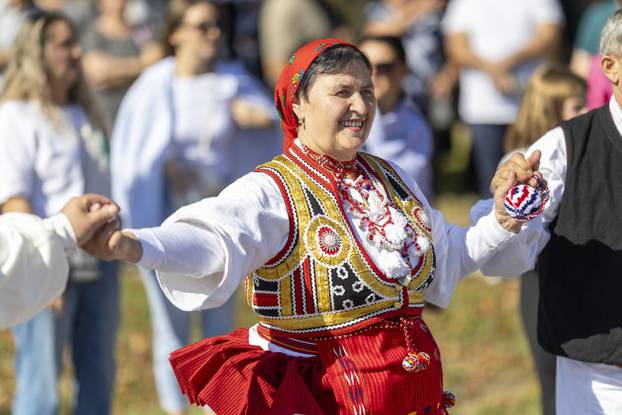 Svečani mimohod sudionika 59. Vinkovačkih jeseni