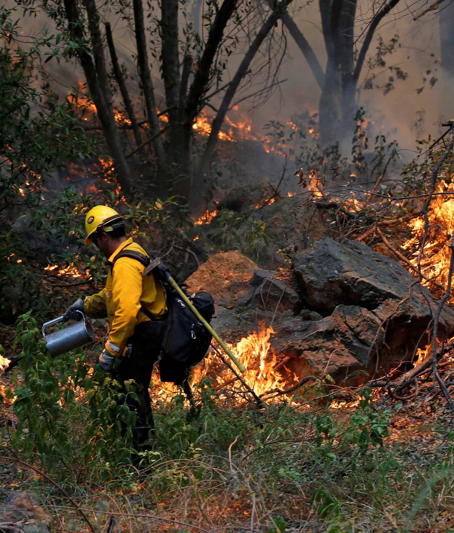 A Hotshots member from the U.S. Forest Department sets a back fire while battling the the so-called "Sherpa Fire", which has grown to over 1100 acres overnight, in the hills near Goleta