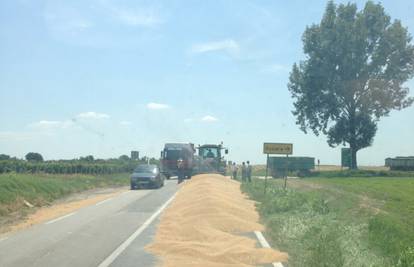 Traktor "posijao" pšenicu po cesti, skupljali su je ralicom
