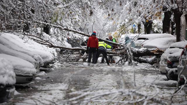 People try to remove fallen tree following heavy snowfall in Sofia
