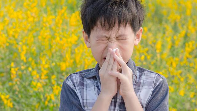 Pobrinite se da vaše dijete zna okidače alergije i kako ih izbjeći