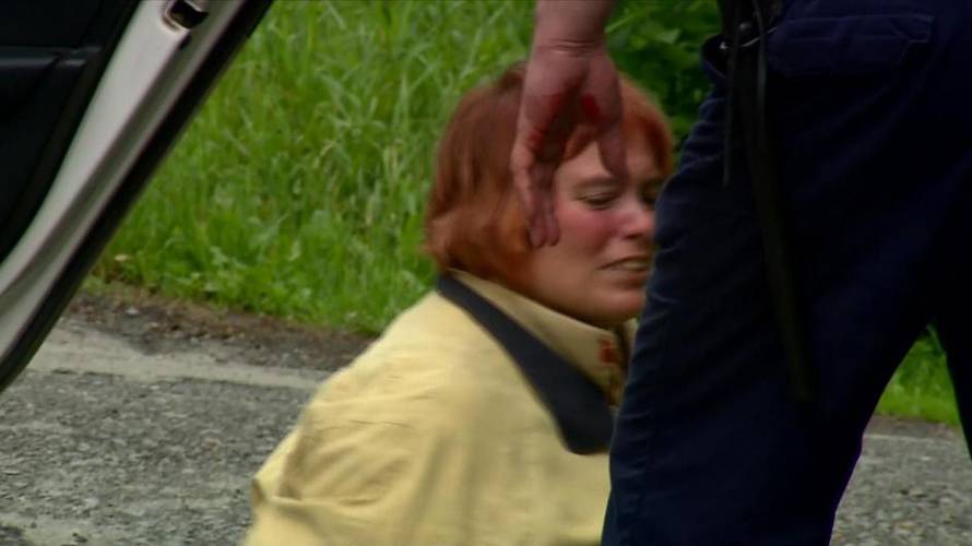 Vanessa je bila kod psihijatra, a on je ocijenio da nije opasna?