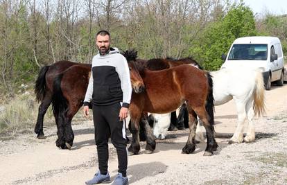 Ništa im nije sveto! Luki je netko po treći put pustio konje i to na Uskrs: 'Sve je to stres'