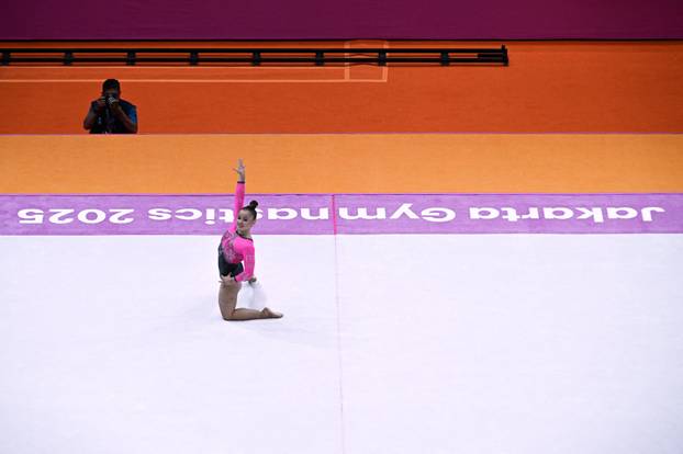 2025 World Artistic Gymnastics Championships