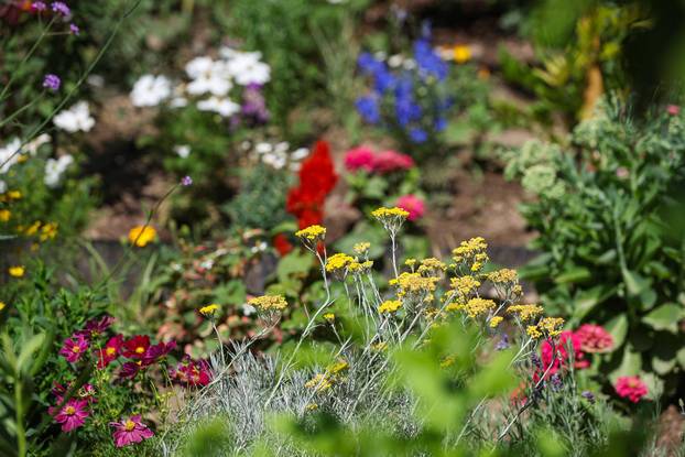 Zagreb: Jasenka Marija Kaštelan ima najljepši vrt na balkonu i ispred zgrade 