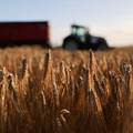 Nizozemski farmeri: 'Vlada želi da smanjimo upotrebu gnojiva i broj stoke, zato prosvjedujemo'