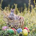 Zašto su jaja jedan od simbola Uskrsa kao i čokoladni zečići? Odgovor vas može iznenaditi