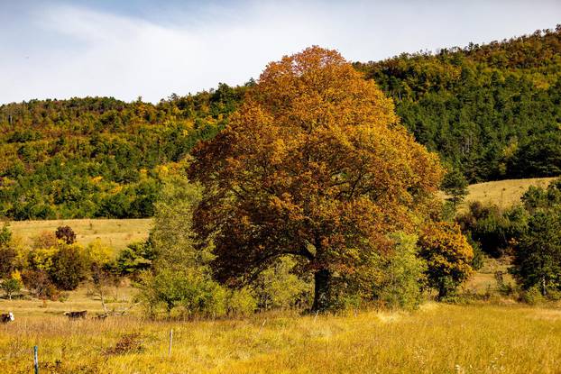 Jesen u Hrvatskoj: Tople boje ukrasile su prirodu i gradove