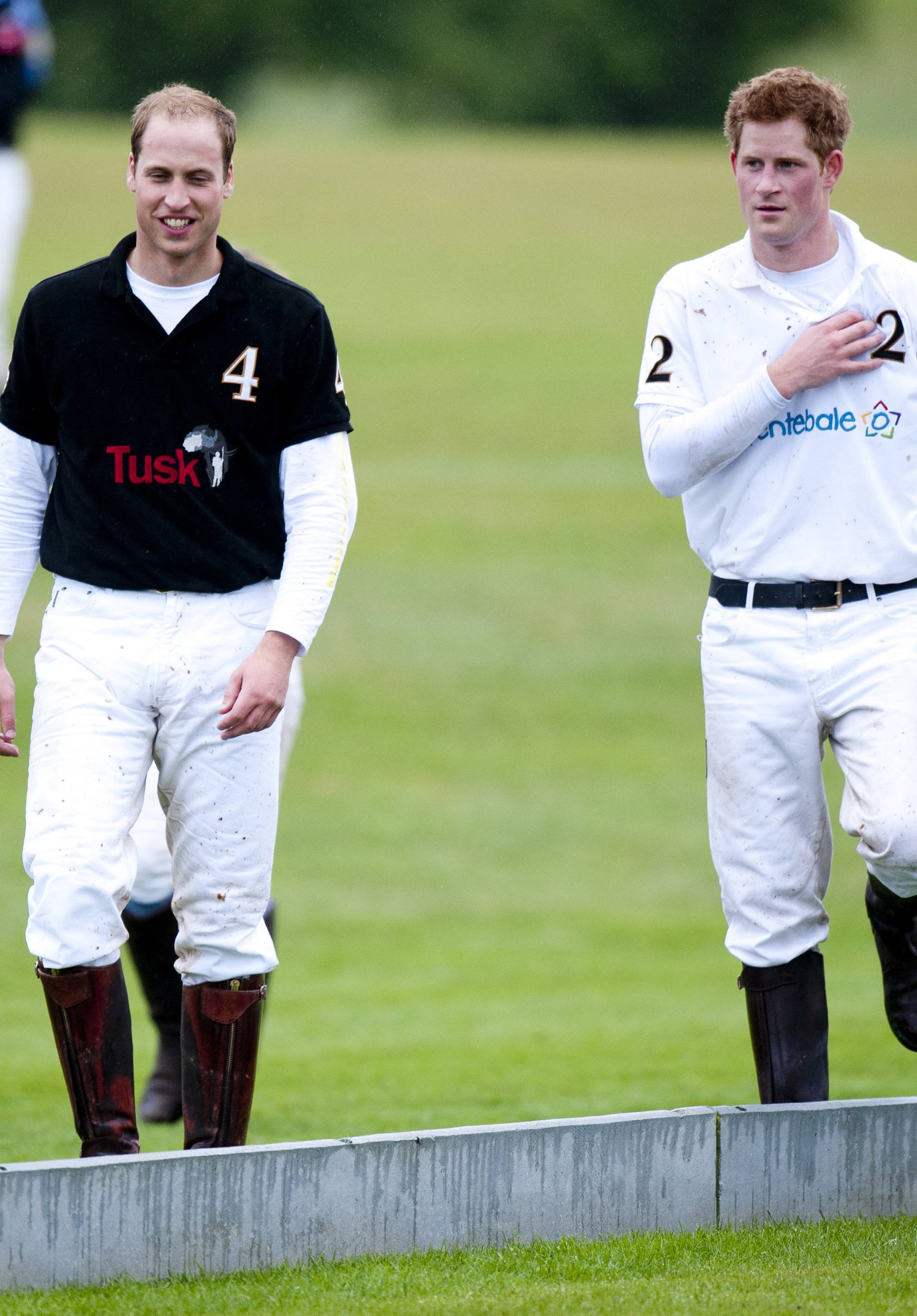 Princes at charity polo match