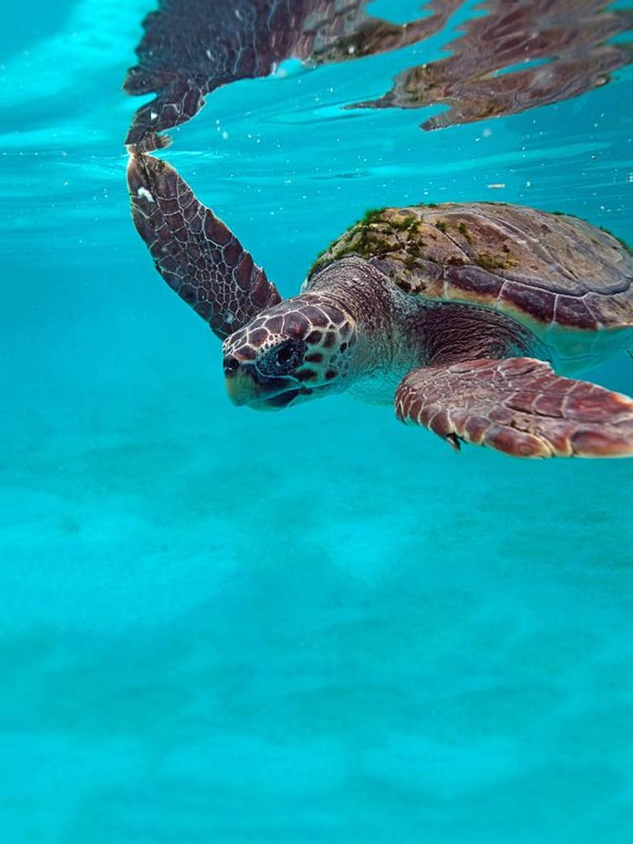 Prijavi se na foto-natječaj i pokaži nam kako Jadran izgleda kroz tvoje oči!