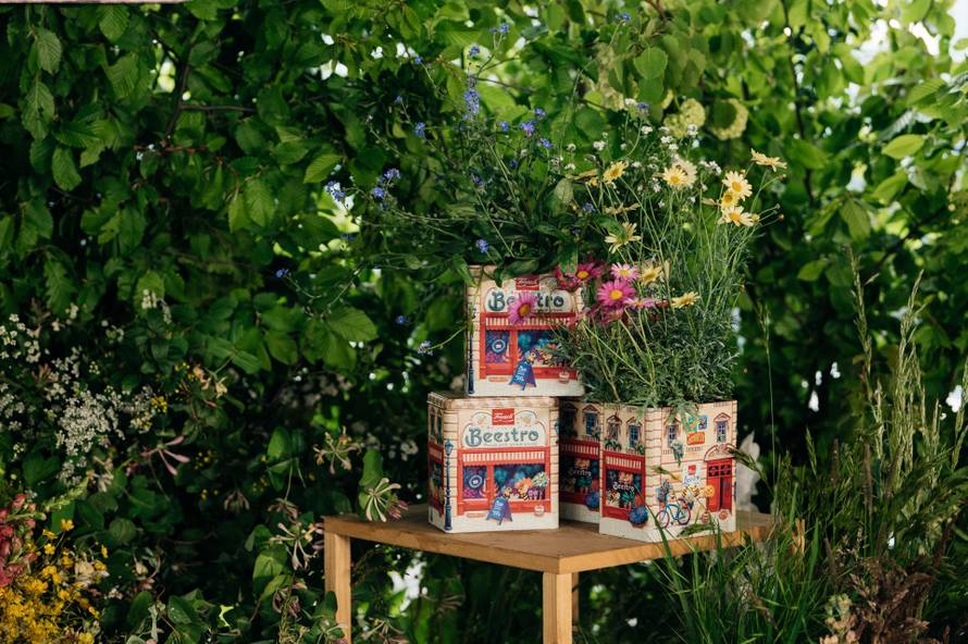 Znate li kada je svjetski dan pčela? Evo kako im zajedno možemo pomoći