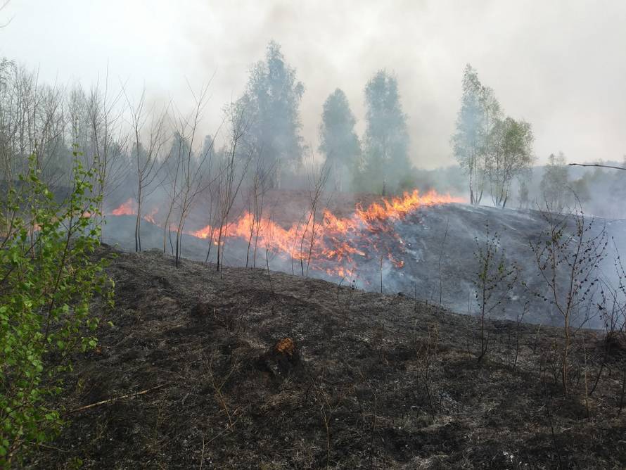 Vatrogasci ljuti: 'Tko normalan još podmeće požar na Uskrs?!'