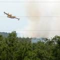 Po&ccaron;ela je sezona po&zcaron;ara: Izgorjela &scaron;uma blizu Nina