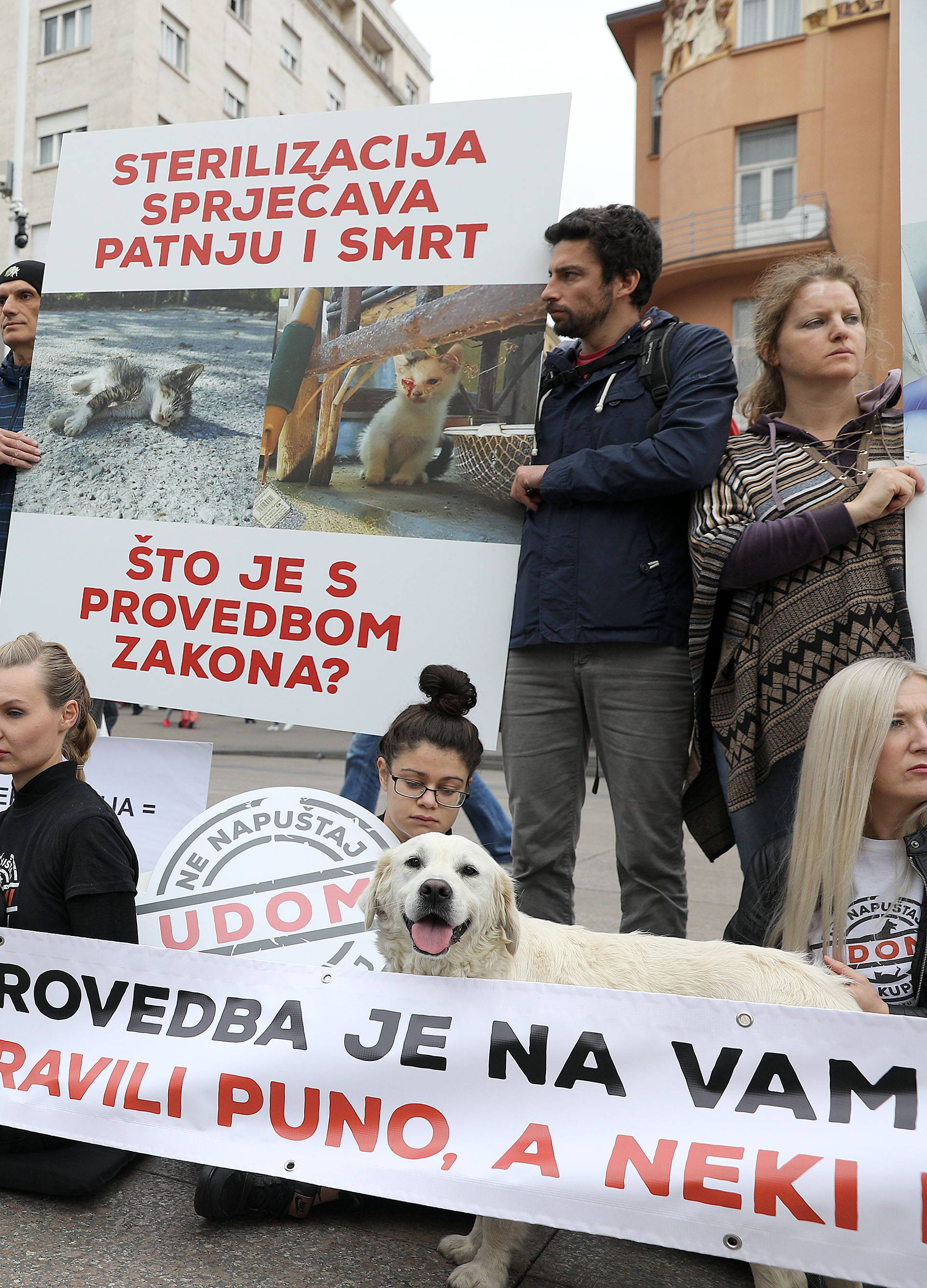 Zagreb: Prijatelji Å¾ivotinja upozorili na godinu dana Zakona o zaÅ¡titi Å¾ivotinja