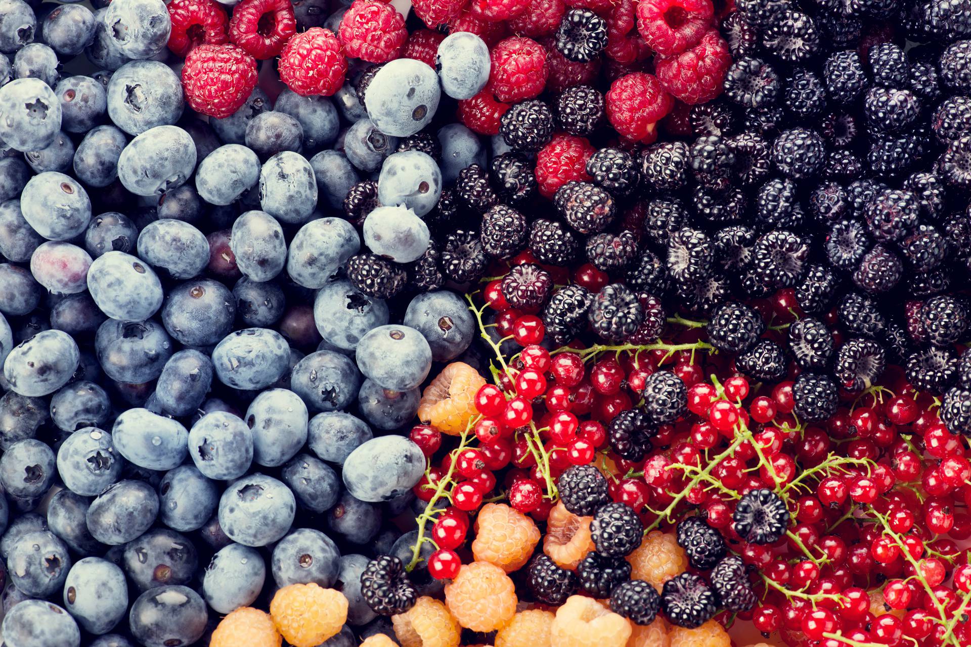 Fresh berries assortment