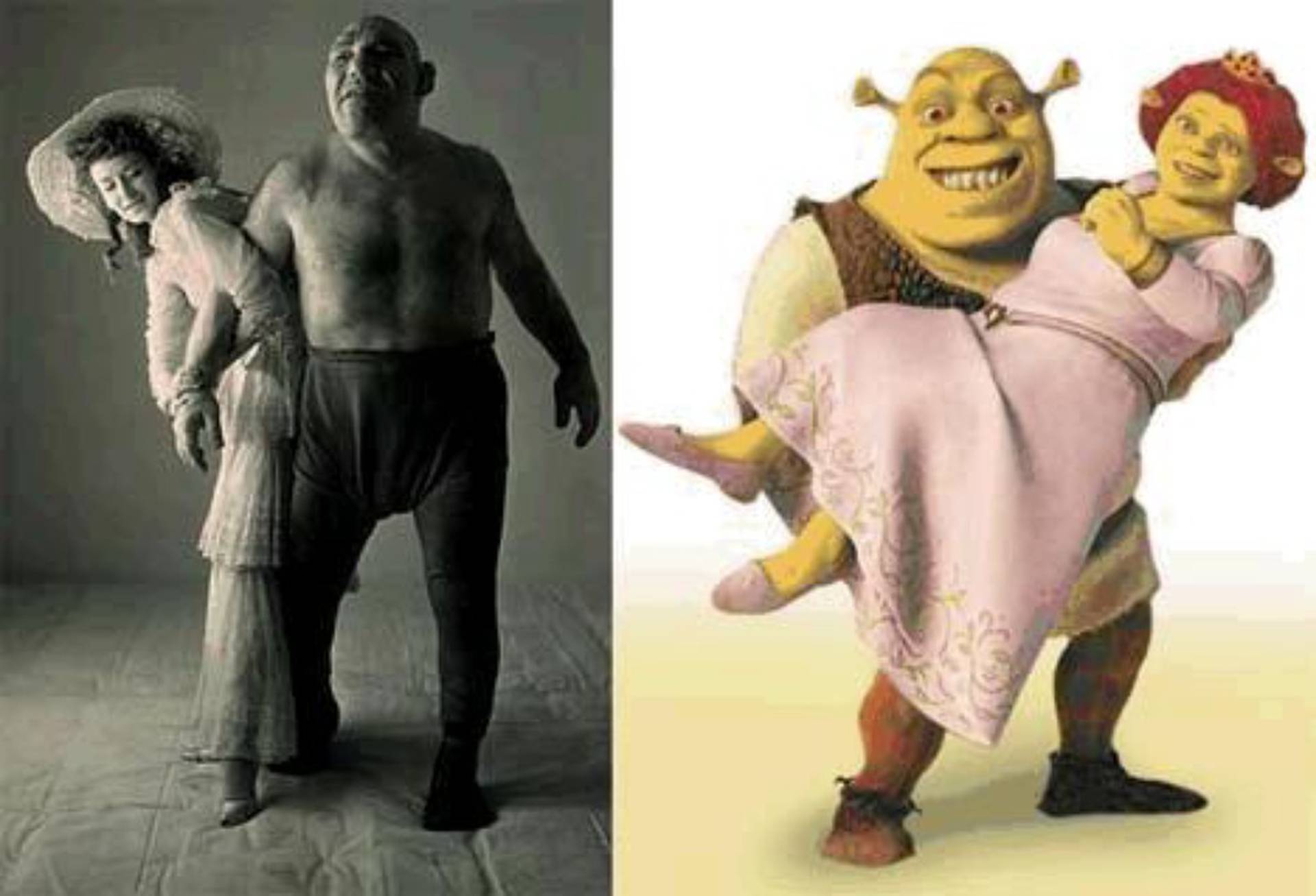 Kim Clijsters Shrek