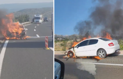 VIDEO Na A1 kod Svetog Roka se zapalio auto: Potpuno je izgorio