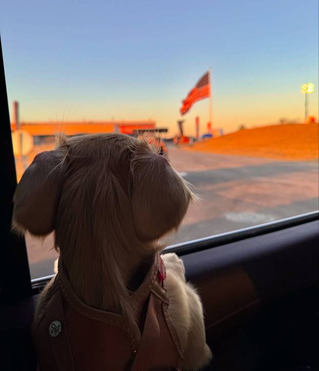 Ferrarijev adut zaljubljen je u visoke oktane. I u Alexandru