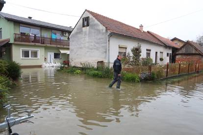 Poplavljeni Brodarci uz rijeku Kupu, ljudi spašavaju životinje