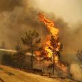 Šumski požar u Turskoj traje već peti dan: Evakuiraju se turisti