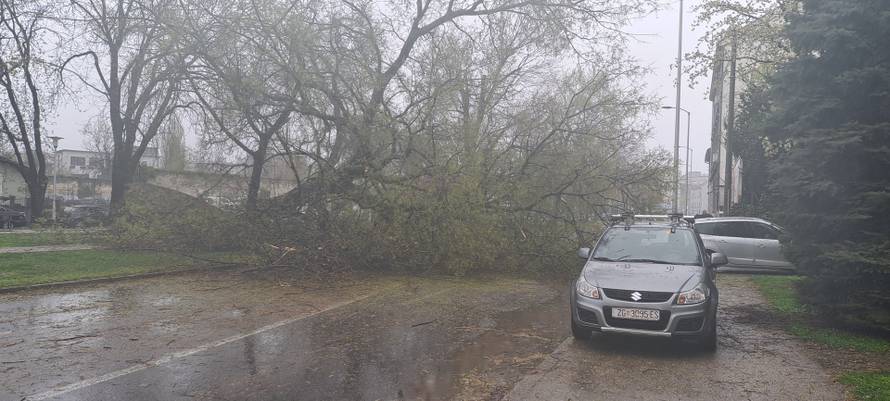 Evo koliko su vatrogasci imali intervencija zbog oluje