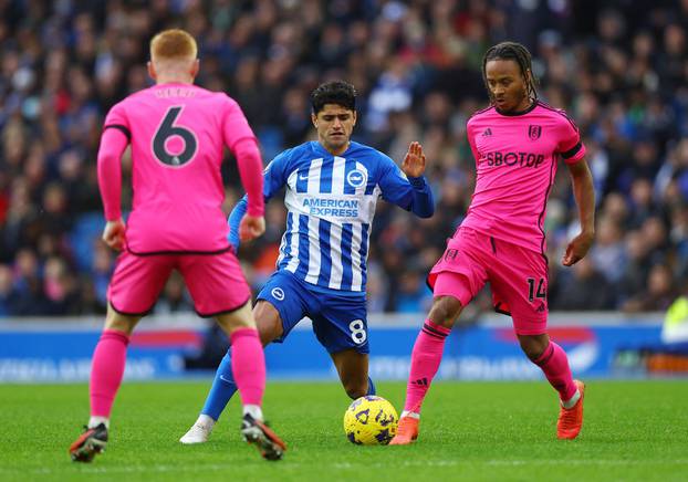 Premier League - Brighton & Hove Albion v Fulham