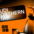 HUDI pokreće nagradu „Northern Star“ za jačanje digitalnog ekosustava