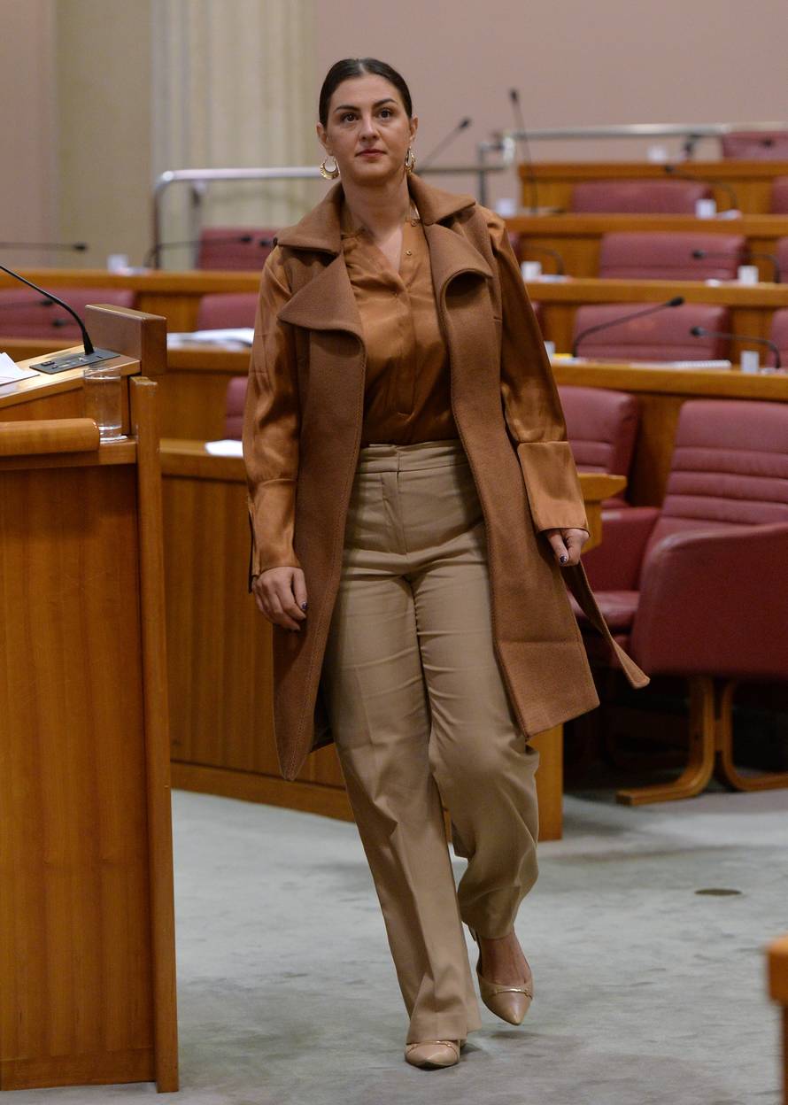 Zastupnice sa stilom: One su unijele boje i živost u Sabor