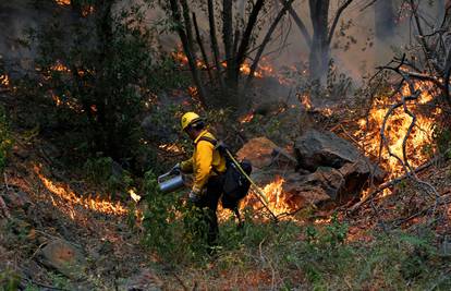Rekordne vrućine u SAD-u izazivaju šumske požare