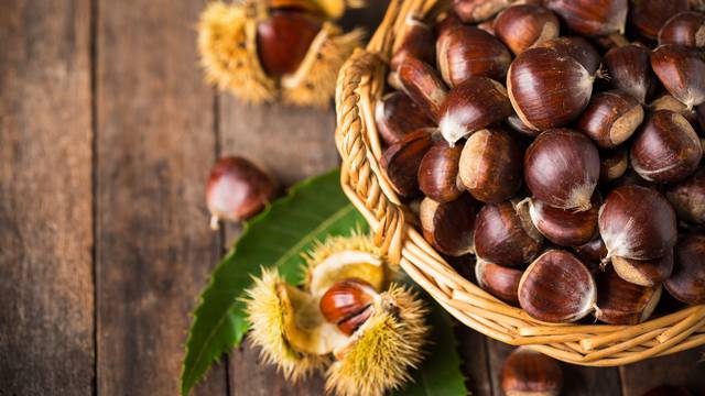 Fresh chestnuts in the basket