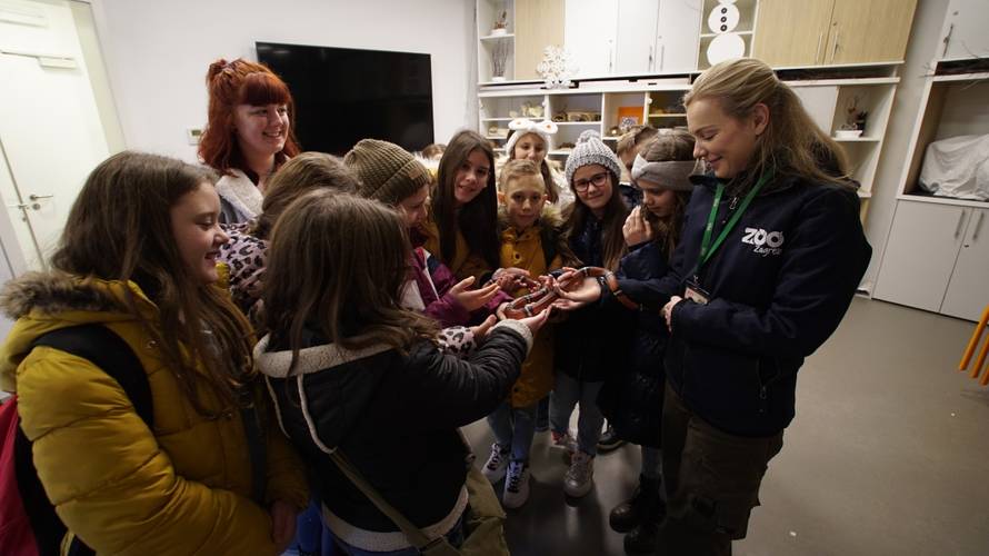 Božićno iznenađenje: Učenici iz Slavonije prvi put u Zoološkom