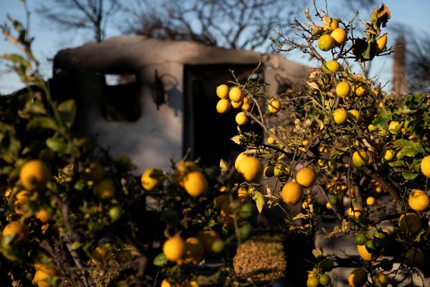 Wildfires in Los Angeles