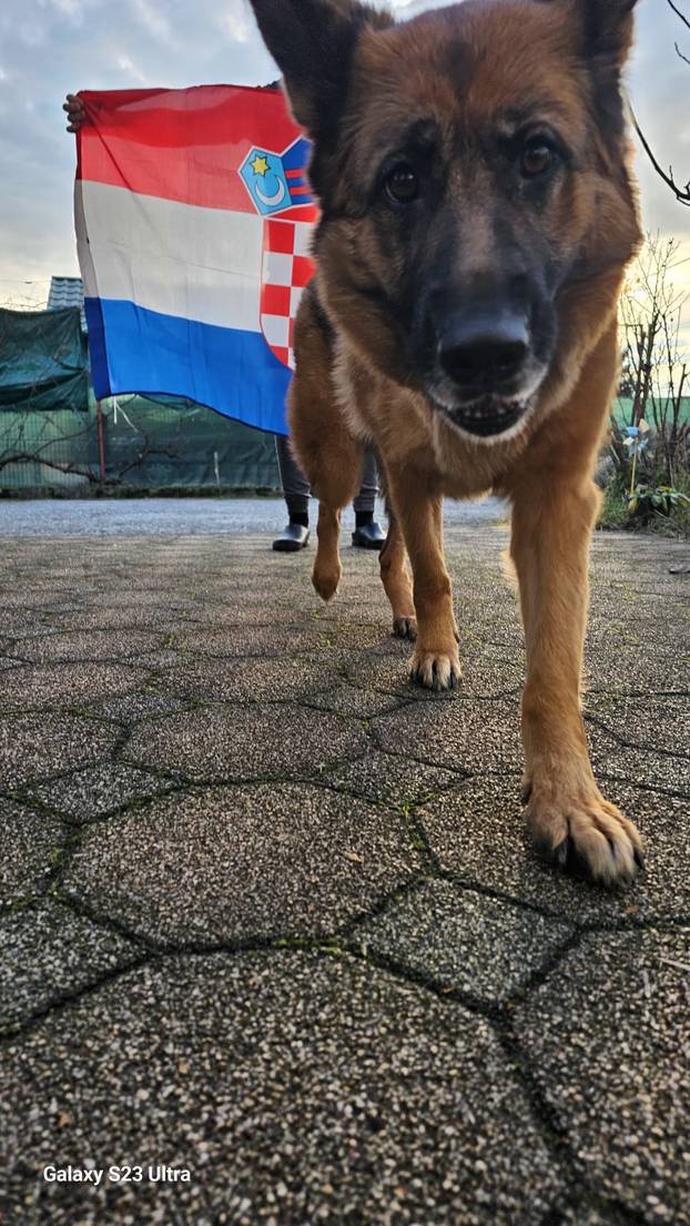 FOTO Čak su i njemački ovčari za nas! Ovako se hrvatski navijači nabrijavaju za polufinale Eura