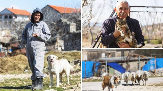 U zadarskom zaleđu netko truje životinje: 'Ubili su mi 22 mačke, to samo kukavice mogu raditi'