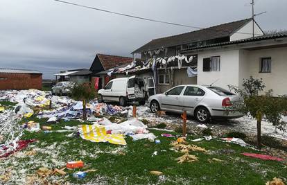 Dobrodošao Fran! Zatrpali su im kuću plastikom i krpama