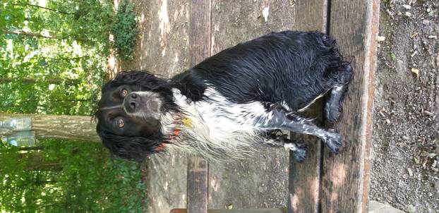 SUPER FOTKE vaših ljubimaca! Neki bi mogli biti viralni hit, ali svi su jednostavno neodoljivi