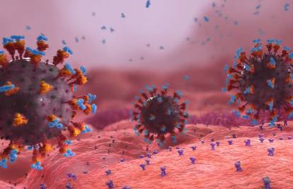 Imunolog: Omikron možda potječe od pacijenata s HIV-om