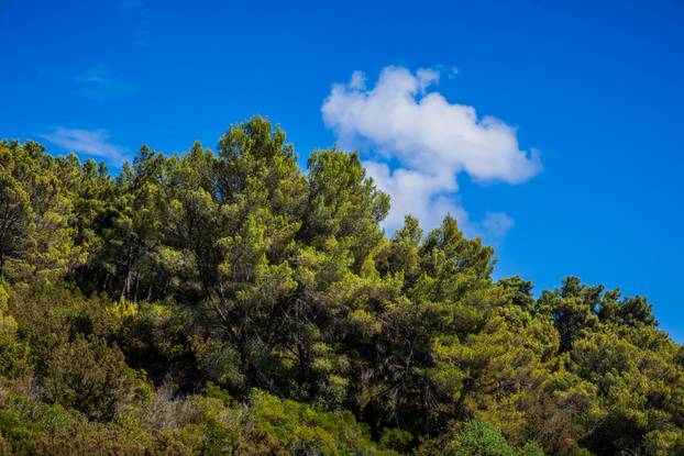 Vela Luka: Uvala Slatina