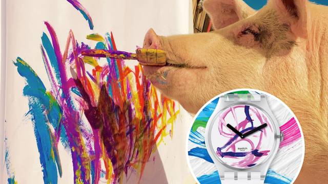 Swatch ponudio svinji Pigcasso suradnju - ukrašava im satove