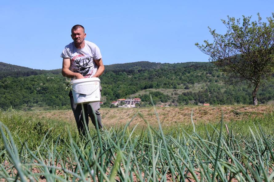 Samohrani otac iz Muća: 'Uzeo sam jaja, sjeo na autobus i podijelio ih potrebitima'