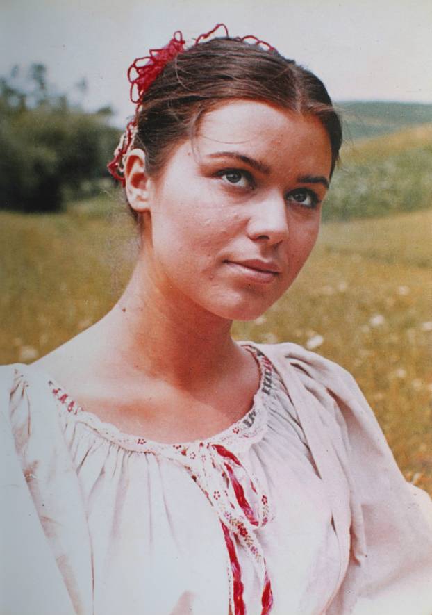 Zagreb: Monografija Vlaste Knezovi?