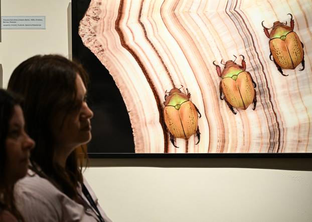 Zagreb: Otvorenje izložbe  Savršenstvo evolucije – Razotkrivanje