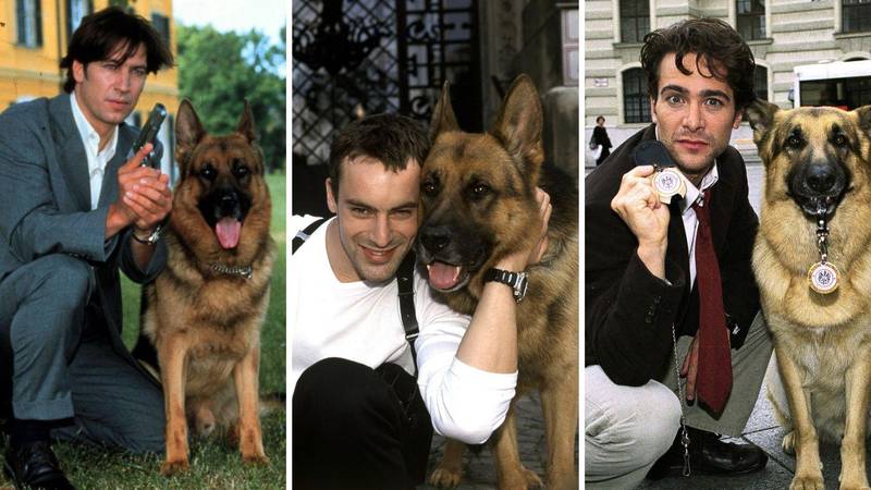 Vraća se Inspektor Rex! Tko je bio vaš omiljeni partner najpoznatijeg policijskog psa?