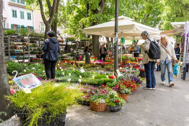Pula: 17. sajam cvijeća Florija na Giardinima