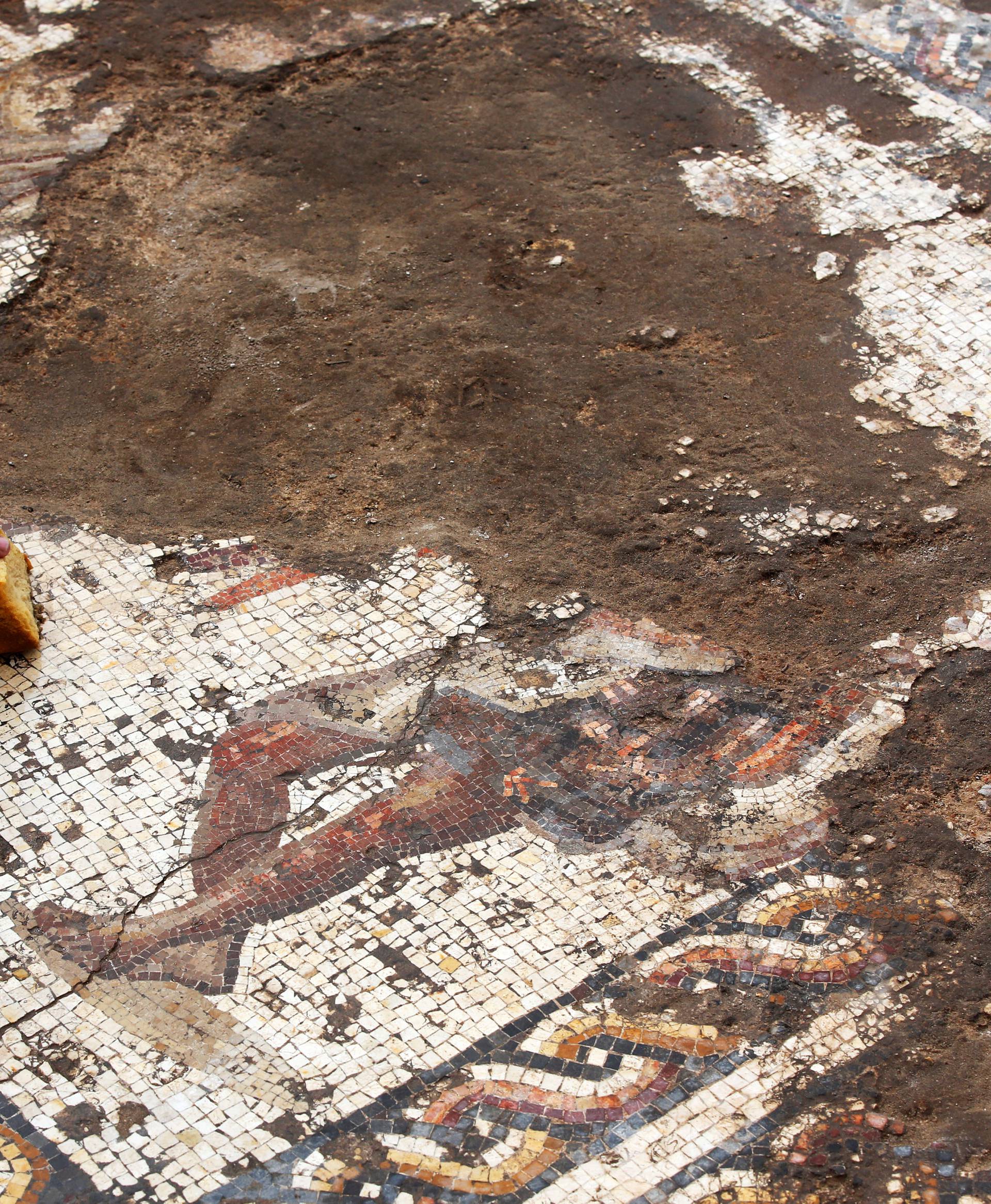 An Israel Antiquities Authority worker cleans a mosaic floor decorated with a figure, which archaeologists say is 1,800 years old and was unearthed during an excavation in Caesarea