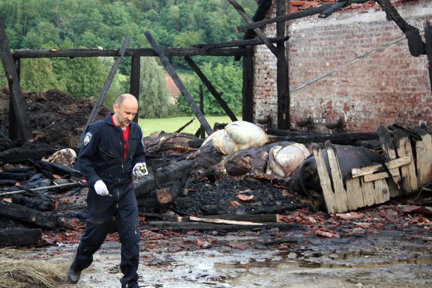 Željko Rukavina/24sata