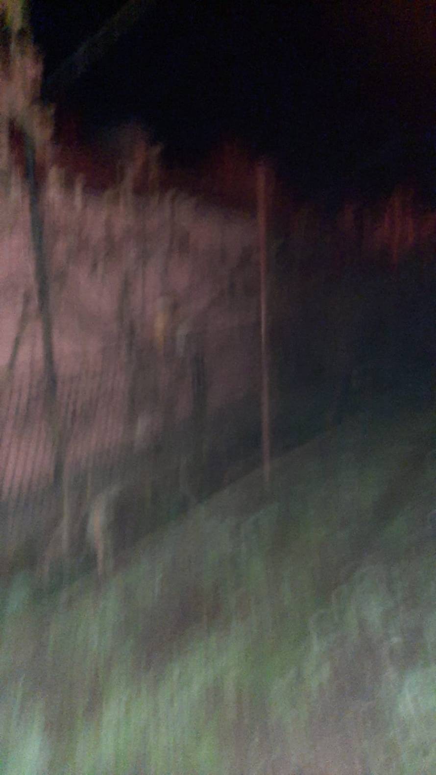 Požar u Popovači: 'Čuli smo jako pucanje. Susjedima smo lupali po prozorima da ih probudimo'