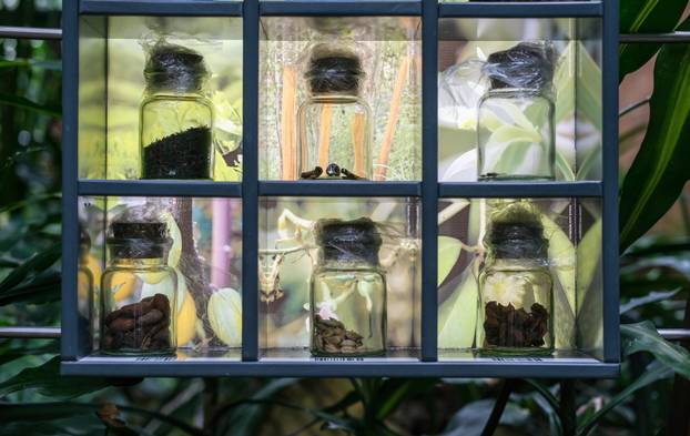 Tropski botanički vrt prepun fascinantnih životinja ponovno je otvoren za posjetitelje