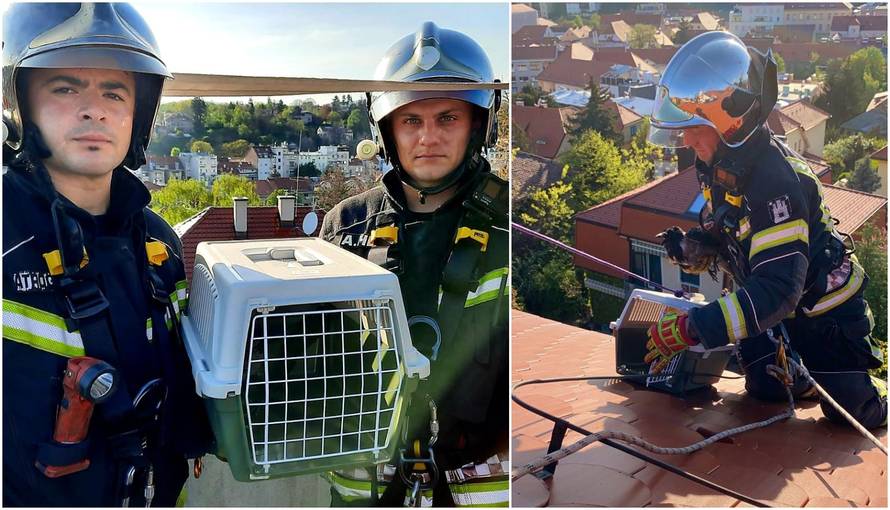 Vatrogasci s krova u Zagrebu spasili ozlijeđenu vranu: 'Sada je dobro, ali čekamo rendgen'