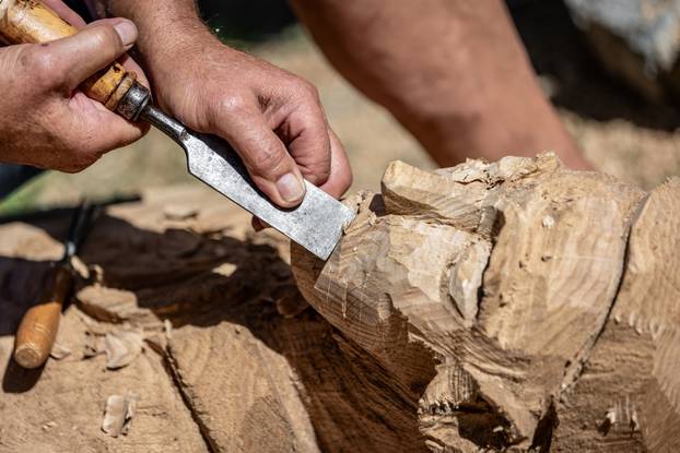 Osijek: 51 Kolonija kipara naive Ernestinovo stvaraju kiparska djela od trupca starog slavonskog hrasta